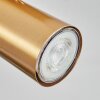 Javel Plafondlamp, Plafondspot Goud, 4-lichts