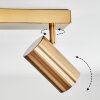 Javel Plafondlamp, Plafondspot Goud, 4-lichts