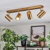 Javel Plafondlamp, Plafondspot Goud, 4-lichts