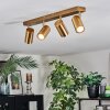 Javel Plafondlamp, Plafondspot Goud, 4-lichts