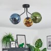 Koyoto Plafondlamp, Kogellampje Blauw, Goud, Groen, 3-lichts