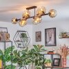 Ripoll Plafondlamp, Kogellampje Amber, Duidelijk, 10-lichts