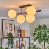 Gastor Plafondlamp, Kogellampje Wit, 5-lichts