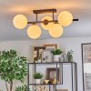Gastor Plafondlamp, Kogellampje Wit, 5-lichts