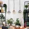 Gastor Hanglamp, Kogellampje, Hanglamp Amber, Duidelijk, Rookkleurig, 3-lichts