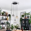 Gastor Hanglamp, Kogellampje, Hanglamp Amber, Duidelijk, Rookkleurig, 3-lichts