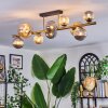 Chehalis Plafondlamp, Kogellampje Goud, Zwart, 10-lichts
