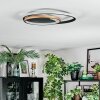 Trapani Plafondlamp LED Goud, Zwart, 1-licht, Afstandsbediening