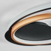 Trapani Plafondlamp LED Goud, Zwart, 1-licht, Afstandsbediening