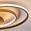 Trapani Plafondlamp LED Goud, Zwart, 1-licht, Afstandsbediening