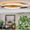 Trapani Plafondlamp LED Goud, Zwart, 1-licht, Afstandsbediening