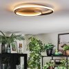 Trapani Plafondlamp LED Goud, Zwart, 1-licht, Afstandsbediening
