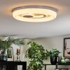 Rarel Plafondlamp LED Zilver, Wit, 1-licht