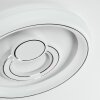 Rarel Plafondlamp LED Zilver, Wit, 1-licht