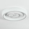 Rarel Plafondlamp LED Zilver, Wit, 1-licht