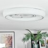 Rarel Plafondlamp LED Zilver, Wit, 1-licht