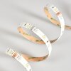 Rayen LED-strip LED Wit, 1-licht, Kleurwisselaar