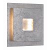 Wofi ENNIS Wandlamp LED Zilver, 1-licht