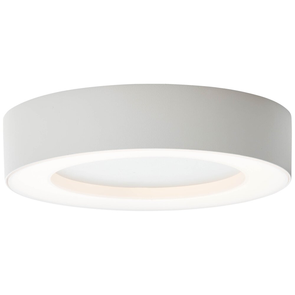 Brillliant Whittaker Buitenshuis plafond verlichting LED Wit, 1-licht main product photo