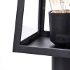 Juanico Padverlichting Duidelijk, Zwart, 1-licht