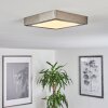 Finsrud Plafondlamp LED Nikkel mat, 1-licht