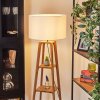 Flemming Staande lamp Natuurlijke kleuren, Zwart, 1-licht