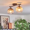 Koyoto Plafondlamp, Kogellampje Amber, Duidelijk, Rookkleurig, 2-lichts