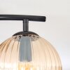 Koyoto Plafondlamp, Kogellampje Amber, Duidelijk, Rookkleurig, 2-lichts