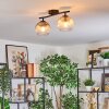 Koyoto Plafondlamp, Kogellampje Amber, Duidelijk, Rookkleurig, 2-lichts