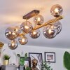 Chehalis Plafondlamp, Kogellampje Goud, Zwart, 10-lichts