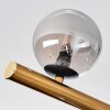 Chehalis Plafondlamp, Kogellampje Goud, Zwart, 10-lichts