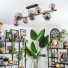 Chehalis Plafondlamp, Kogellampje Goud, Zwart, 10-lichts