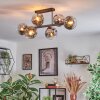 Ripoll Plafondlamp, Kogellampje Chroom, Duidelijk, Rookkleurig, 6-lichts