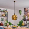 Koyoto Hanglamp, Kogellampje, Hanglamp Goud, 1-licht