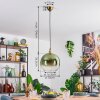 Koyoto Hanglamp, Kogellampje, Hanglamp Goud, 1-licht