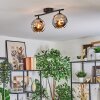 Ripoll Plafondlamp, Kogellampje Chroom, Rookkleurig, 2-lichts