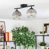 Ripoll Plafondlamp, Kogellampje Duidelijk, Rookkleurig, 2-lichts
