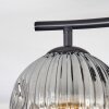 Ripoll Plafondlamp, Kogellampje Duidelijk, Rookkleurig, 2-lichts