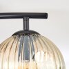 Ripoll Plafondlamp, Kogellampje Amber, Duidelijk, Rookkleurig, 2-lichts