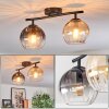 Koyoto Plafondlamp, Kogellampje Amber, Duidelijk, Rookkleurig, 2-lichts