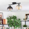 Koyoto Plafondlamp, Kogellampje Amber, Duidelijk, Rookkleurig, 2-lichts