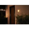 Philips Hue White & Color Ambiance Daylo Muurlamp LED roestvrij staal, 1-licht