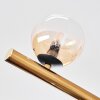 Chehalis Plafondlamp, Kogellampje Goud, Zwart, 10-lichts