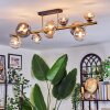 Chehalis Plafondlamp, Kogellampje Goud, Zwart, 10-lichts