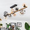 Chehalis Plafondlamp, Kogellampje Goud, Zwart, 10-lichts