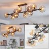 Ripoll Plafondlamp, Kogellampje Amber, Duidelijk, Rookkleurig, 10-lichts