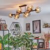 Ripoll Plafondlamp, Kogellampje Amber, Duidelijk, Rookkleurig, 10-lichts