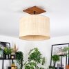Sabadim Plafondlamp Natuurlijke kleuren, Zwart, 1-licht