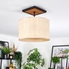 Sabadim Plafondlamp Natuurlijke kleuren, Zwart, 1-licht