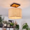 Sabadim Plafondlamp Natuurlijke kleuren, Zwart, 1-licht